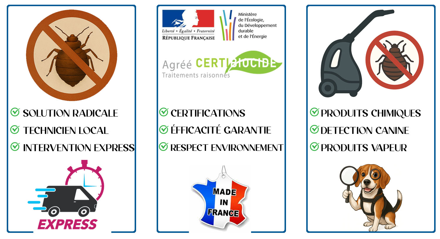 Punaises de Lit Saint Maur des Fosses